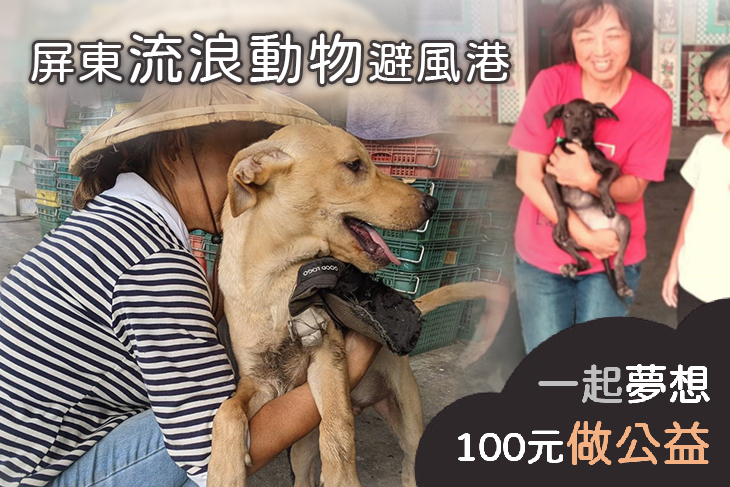 屏東流浪動物避風港