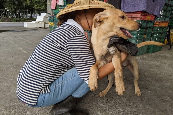 屏東流浪動物避風港