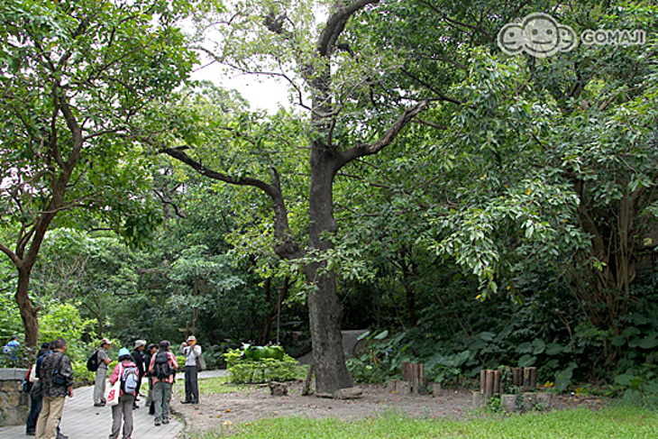 台北-芝山文化生態綠園