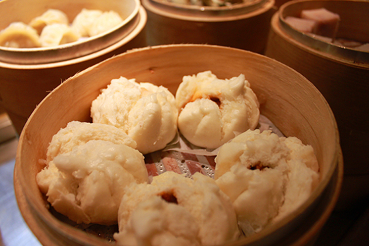 長春素食