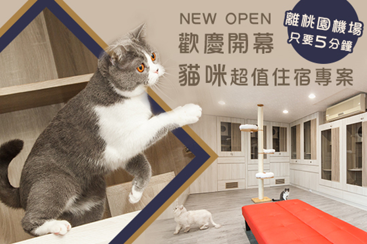 樂貓屋。精品貓旅館