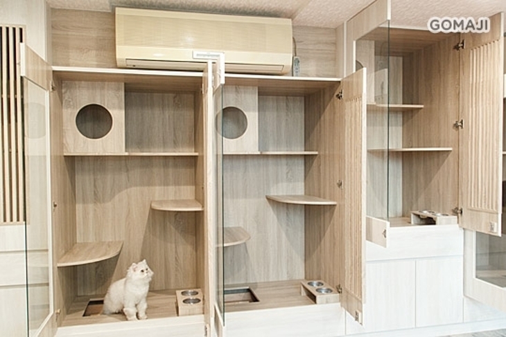 樂貓屋。精品貓旅館