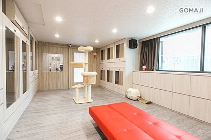 樂貓屋。精品貓旅館