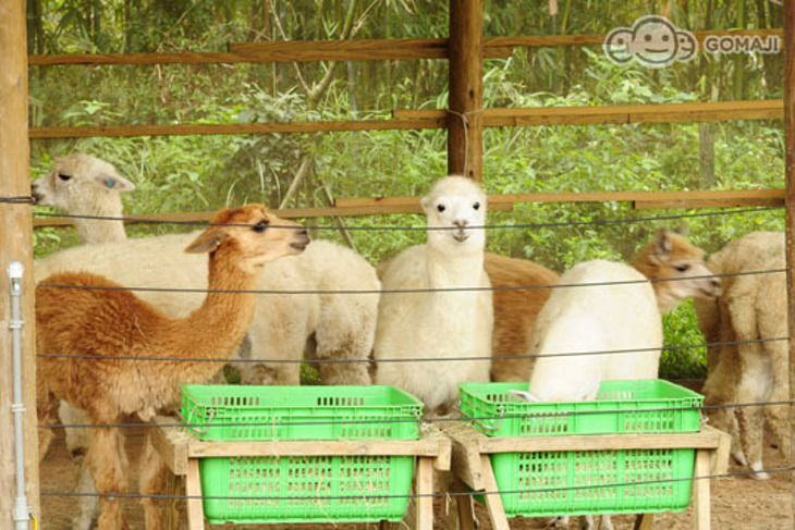 Hotel j日月光國際飯店-新竹館