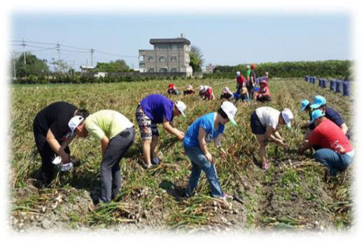 一起夢想－蛋願人長久，千里共募捐