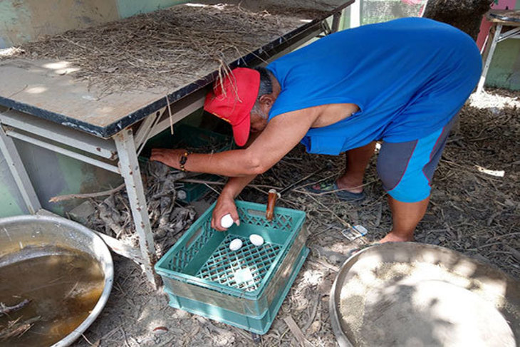 一起夢想－蛋願人長久，千里共募捐