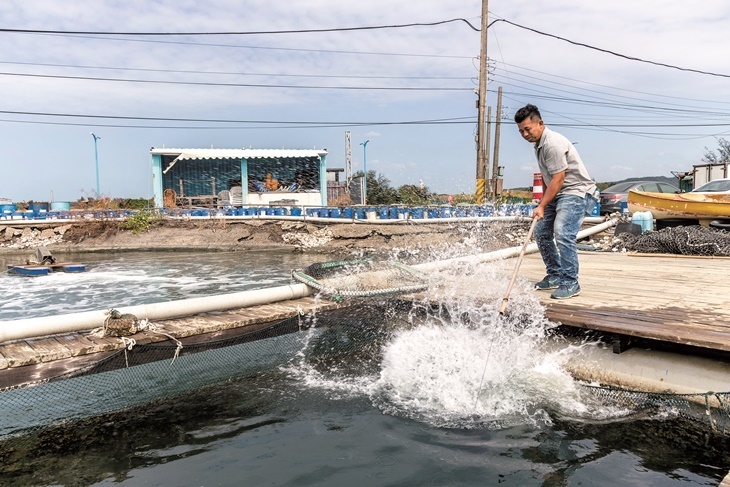 【夠麻吉X農遊超市】新竹水月休閒藍鯨魚寮