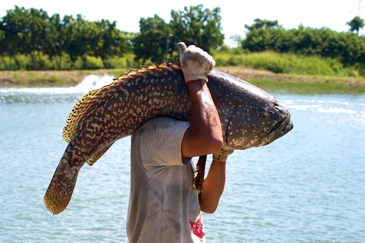 【夠麻吉X農遊超市】新竹水月休閒藍鯨魚寮