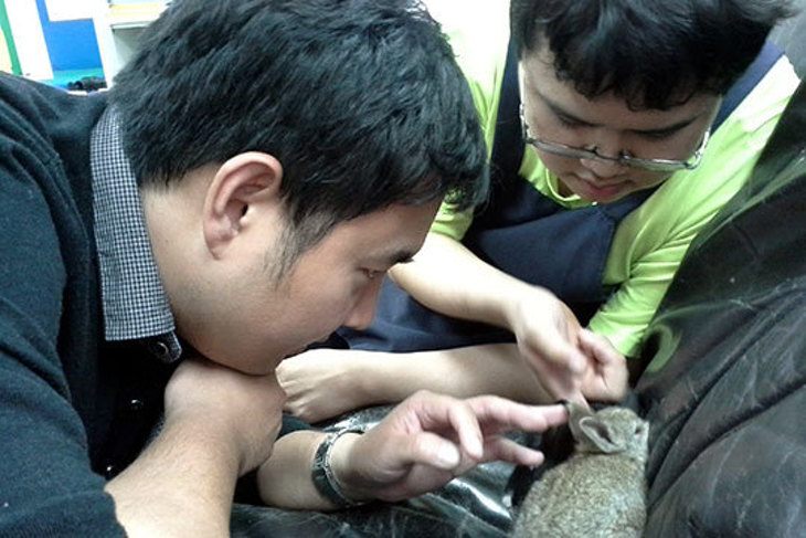 一起夢想-星星兒自立支持專案