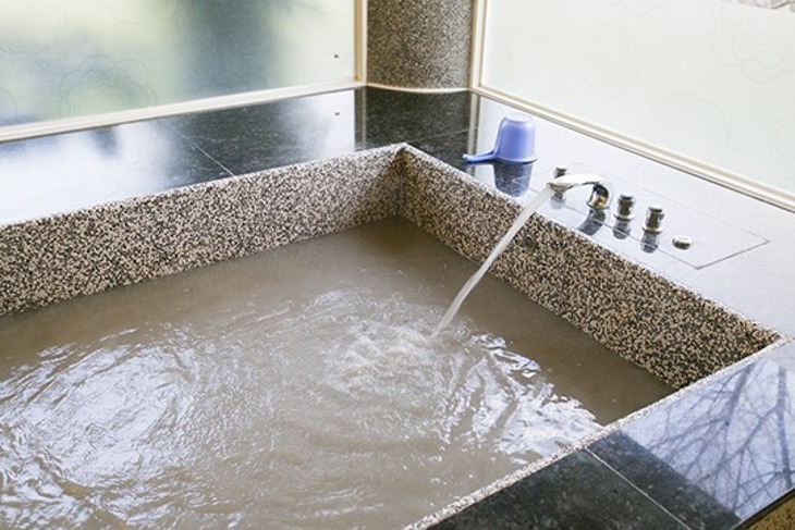 台南-關子嶺林桂園石泉會館