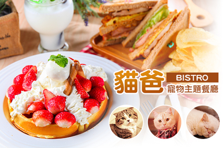 貓爸寵物主題餐廳