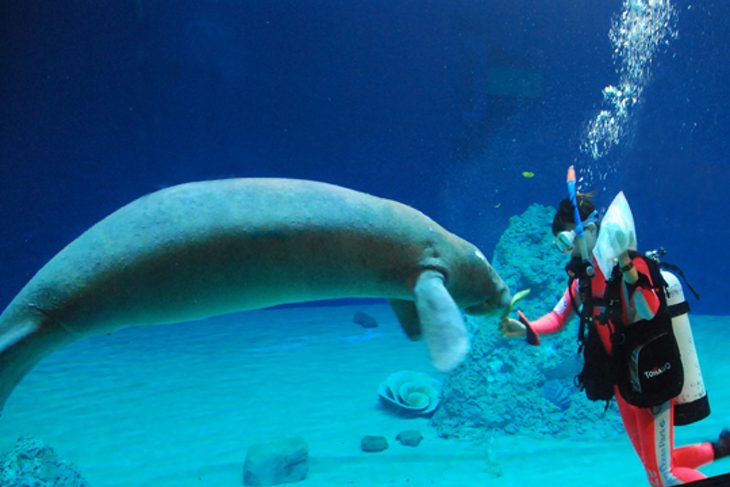 花蓮-遠雄海洋公園