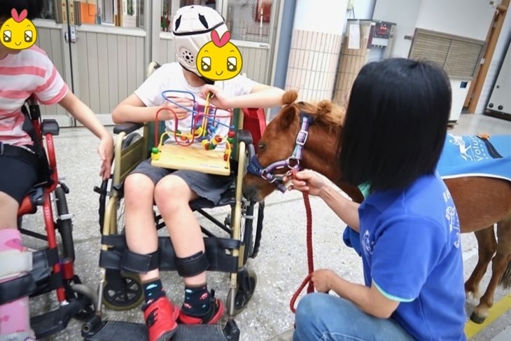 一起夢想－愛馬飼