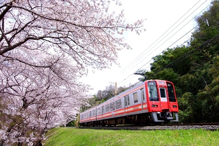 南海電鐵全線二日自由乘車券