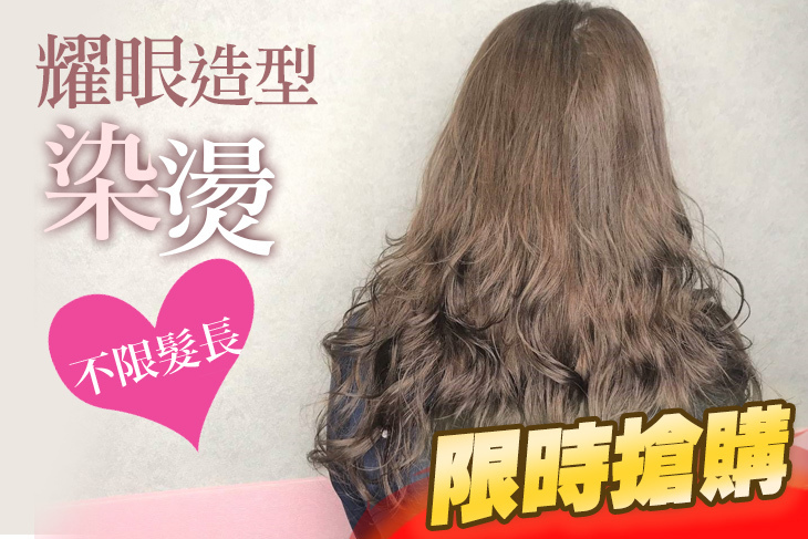 Zs髮藝