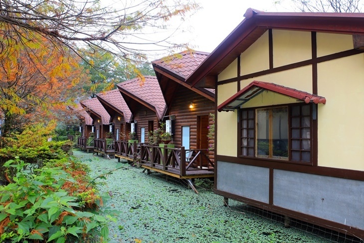 【夠麻吉X農遊超市】南投台一生態休閒農場