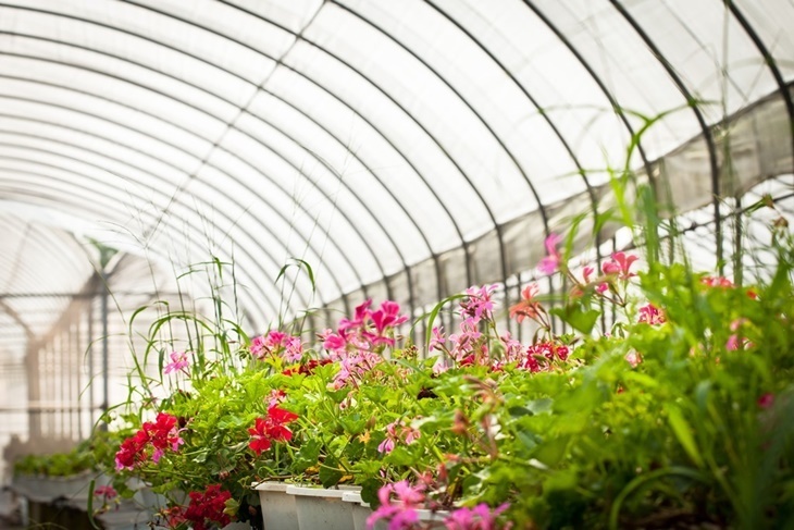 【夠麻吉X農遊超市】南投台一生態休閒農場