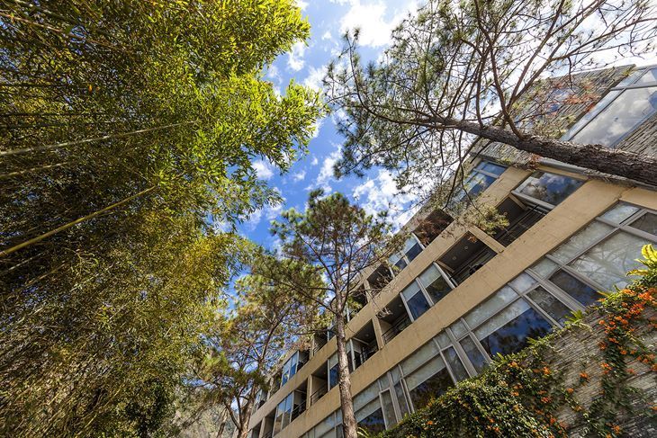 苗栗泰安-竹美山閣溫泉會館