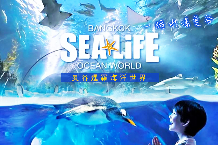 曼谷暹羅海洋世界門票Sea Life Bangkok Ocean World