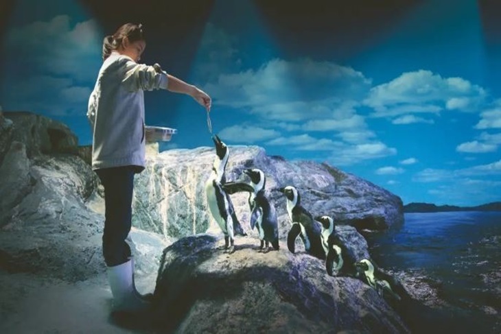 曼谷暹羅海洋世界門票Sea Life Bangkok Ocean World