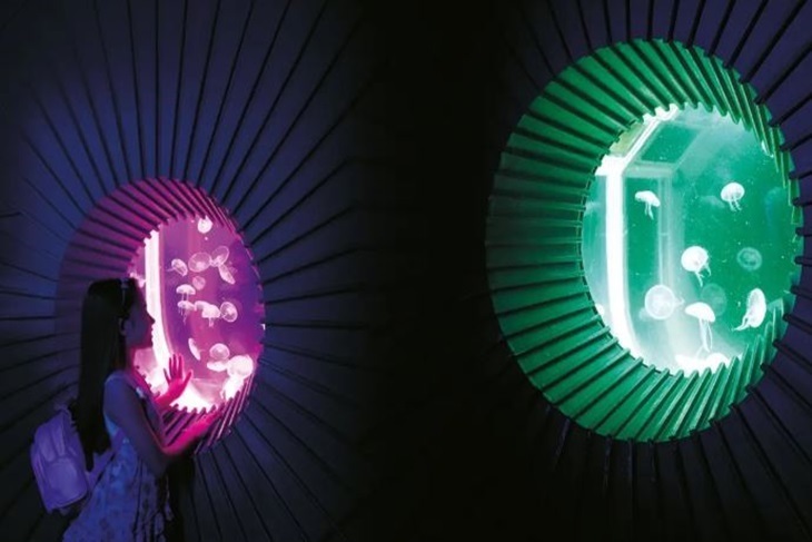 曼谷暹羅海洋世界門票Sea Life Bangkok Ocean World