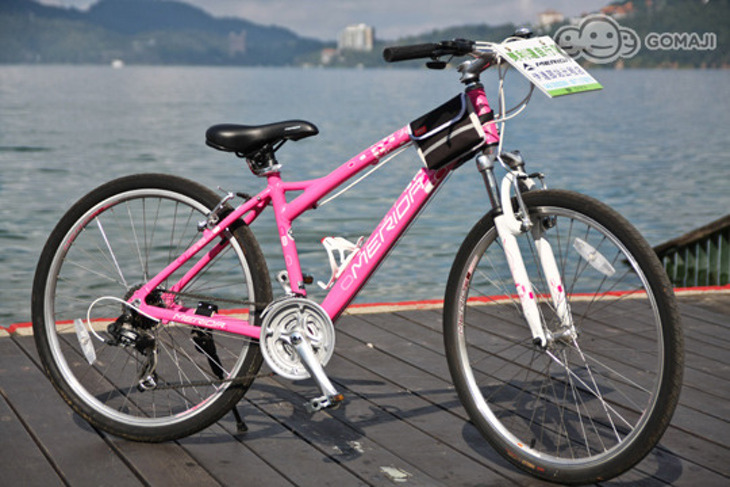 日月潭-奔騰伊達邵店