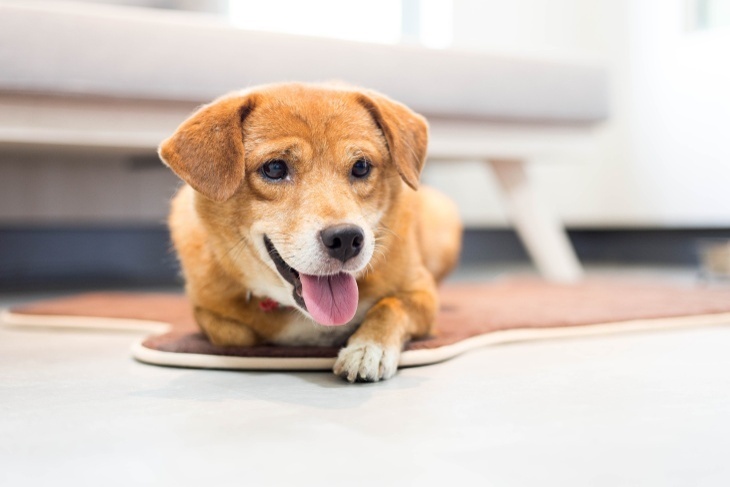 宜蘭傳藝老爺行旅