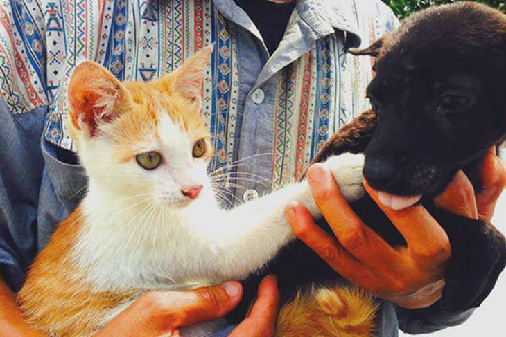 一起夢想-花蓮毛小孩遠離飢餓專案