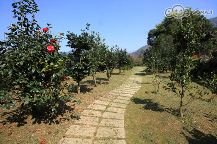 鹿谷-蟬説·鳳凰亭序(鳳凰自然教育園區)