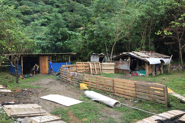 一起夢想-部落奇雞