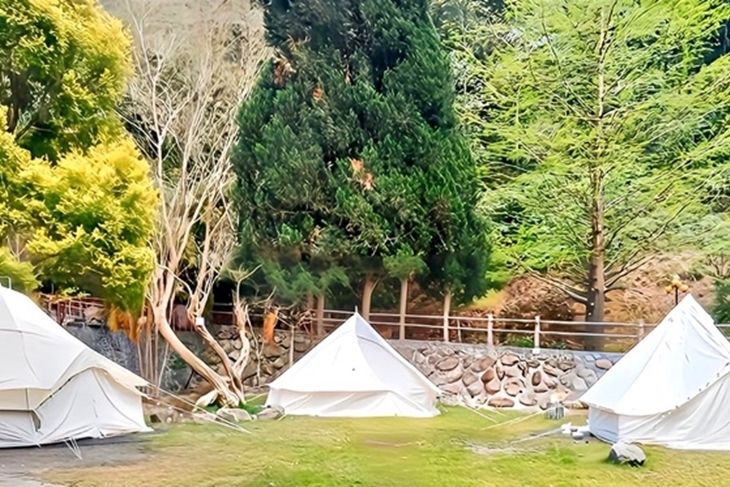 茶野裡山野露營(南投龍泉營區)