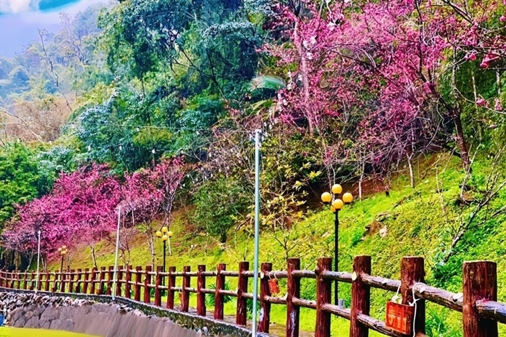 茶野裡山野露營(南投龍泉營區)