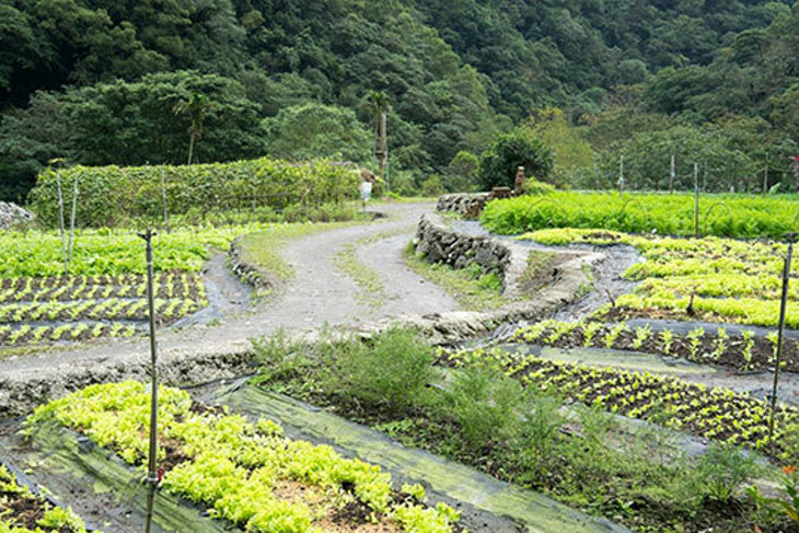 宜蘭-頭城休閒農場