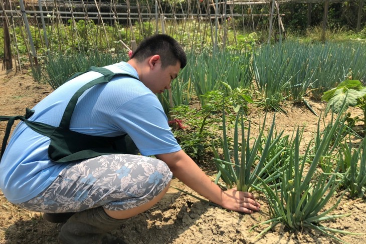 一起夢想－星兒自立培訓