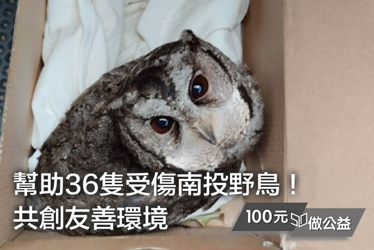 幫助36隻受傷南投野鳥！共創友善環境！