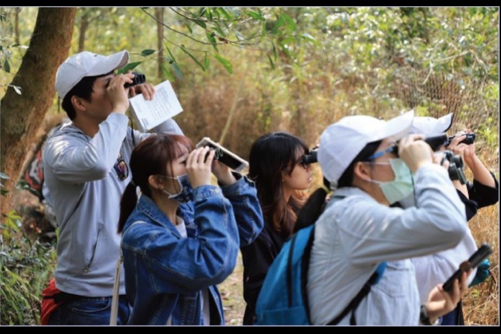 幫助36隻受傷南投野鳥！共創友善環境！