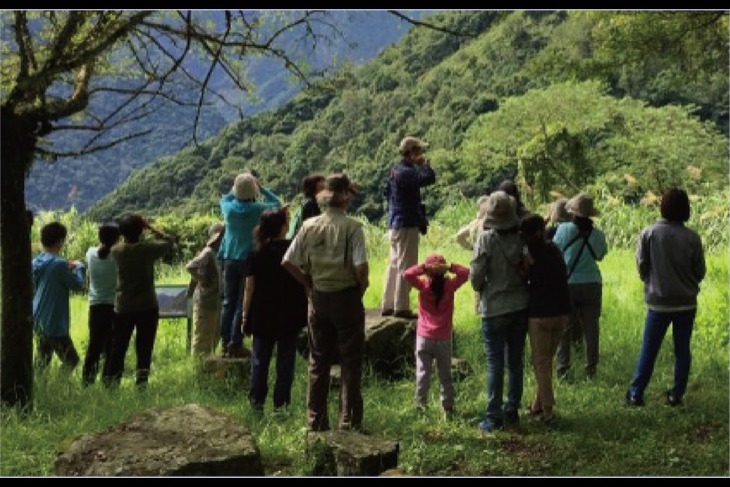 幫助36隻受傷南投野鳥！共創友善環境！