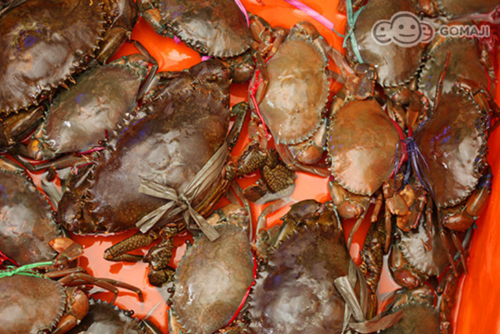 皇鼎潮汕砂鍋粥