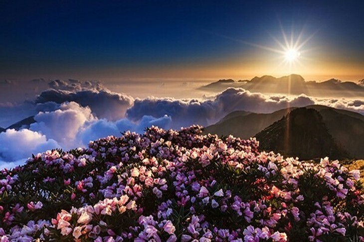 廬山溫泉-夏都大飯店