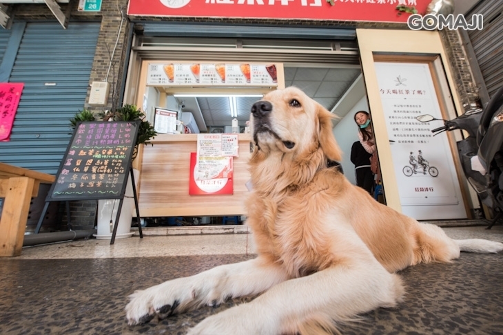 紅茶洋行(東和店)