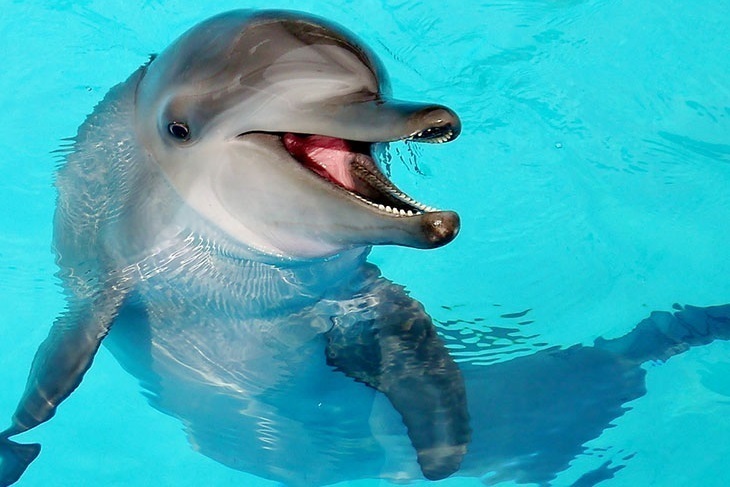 萬里-野柳海洋世界