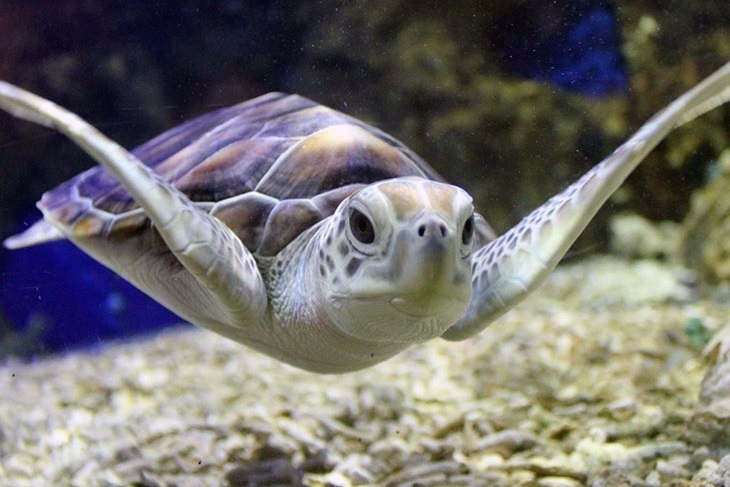 萬里-野柳海洋世界