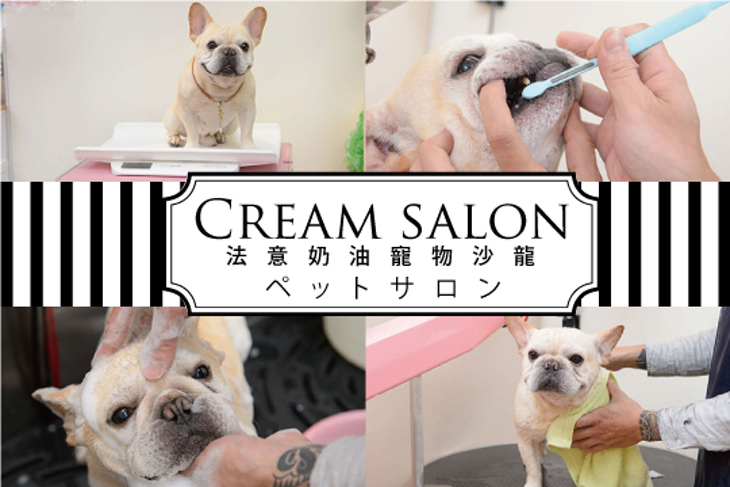 Cream salon法意奶油寵物沙龍