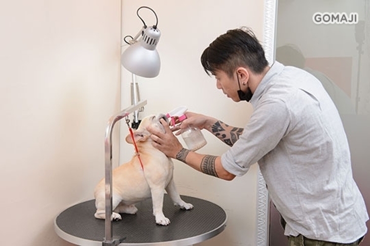 Cream salon法意奶油寵物沙龍