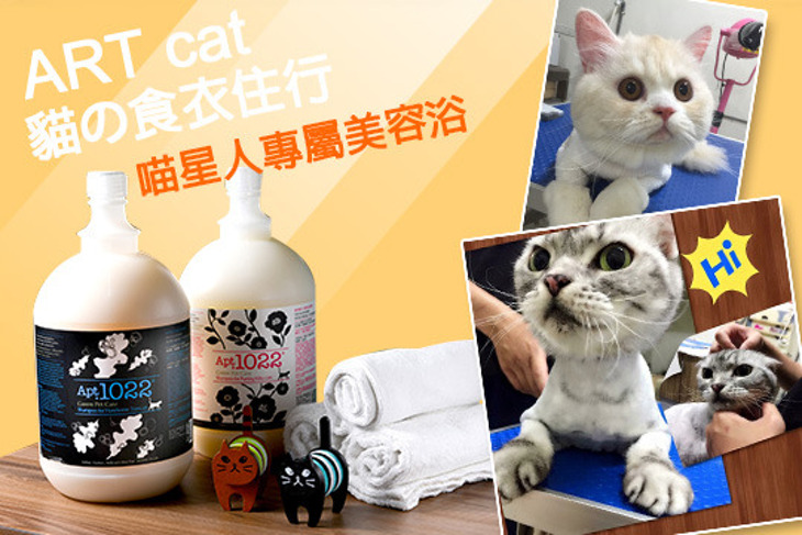 ART cat 貓の食衣住行
