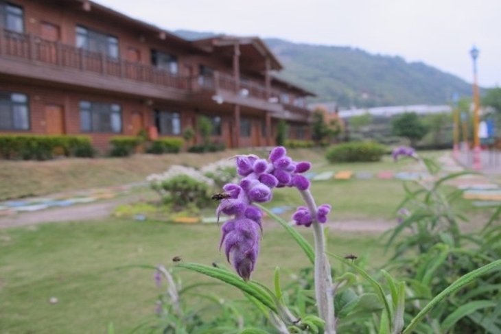 清境-雲之瀑休閒景觀渡假村