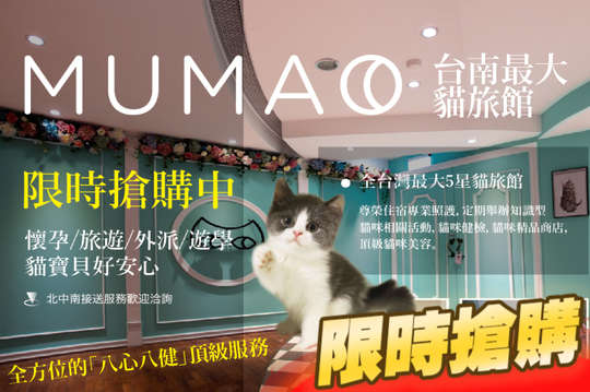 台南-牧貓精品寵物旅館