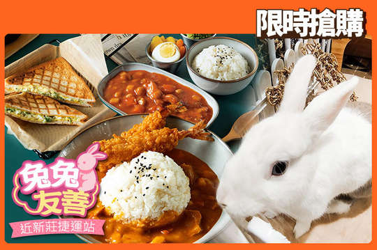 【Meet兔】兔兔寵物友善咖啡X兔兔旅館