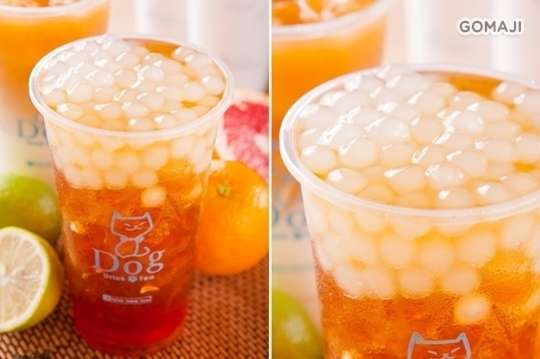 Dog Drink Tea