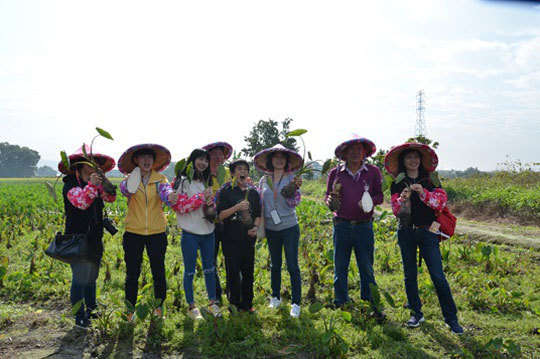 熹嬿推廣行銷有限公司